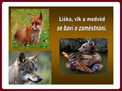 liska_vlk_a_medved