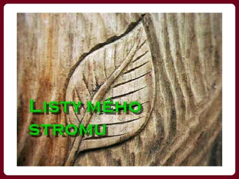 listy_meho_stromu_-_ricardo