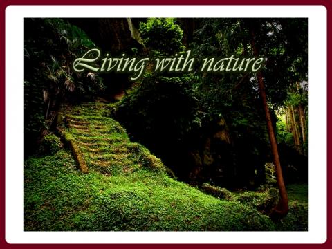 living_with_nature_-_renny