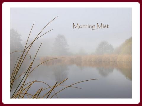 morning_mist_-_autumn_fog_-_hy_van