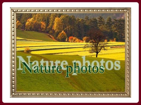 obrazky_z_prirody_-_nature_photos_-_ildy