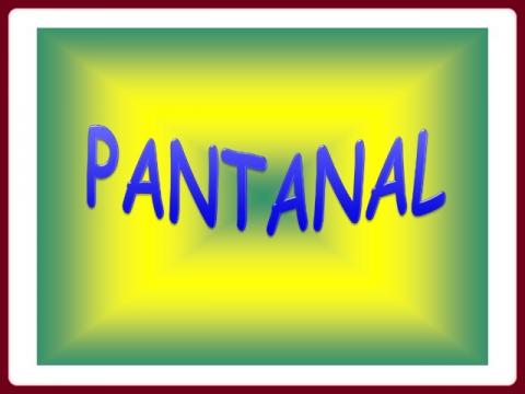 pantanal_cz