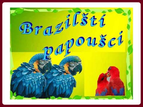 papousci_z_brazilie