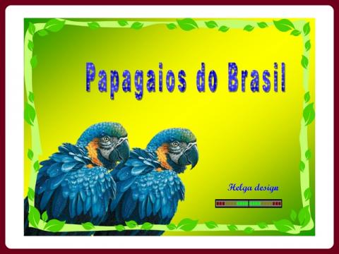 papousci_z_brazilie_-_papagaios_do_brasil_-_helga