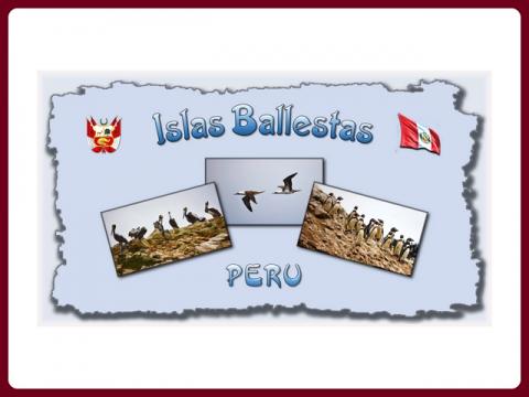 peru_-_islas_ballestas_-_steve