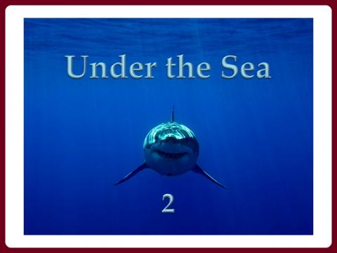 pod_morem_-_under_the_sea_-_judith_2
