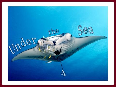 pod_morem_-_under_the_sea_-_judith_4