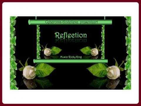 reflection_-_godelieve