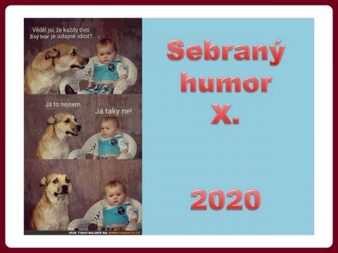 sebrany_humor_-_js_10