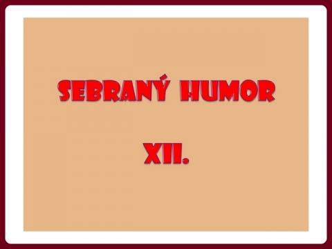 sebrany_humor_-_js_12