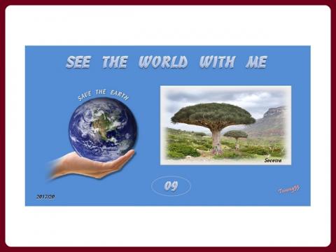 see_the_world_09_-_jemen_sokotra_-_steve