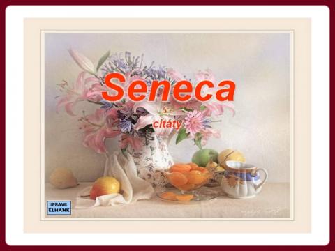 seneca_-_citaty