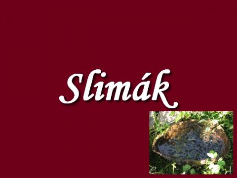 slimak_invaze
