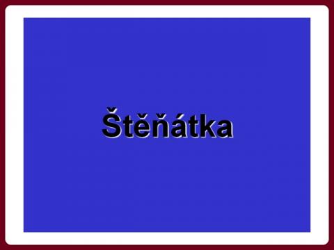 stenatka_-_hundebabys_-_ael