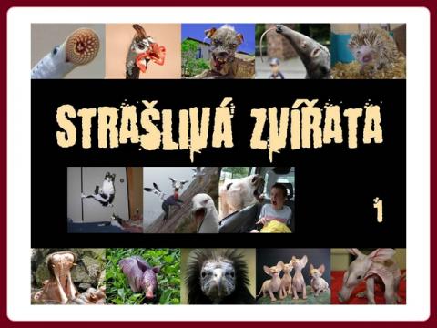 strasliva_zvirata_1