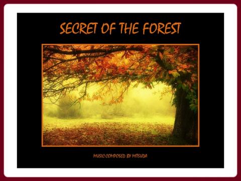 tajemstvi_lesa_-_secret_of_the_forest