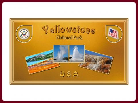 usa_-_np_yellowstone_-_steve