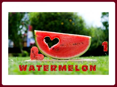 watermelon_-_judith_1