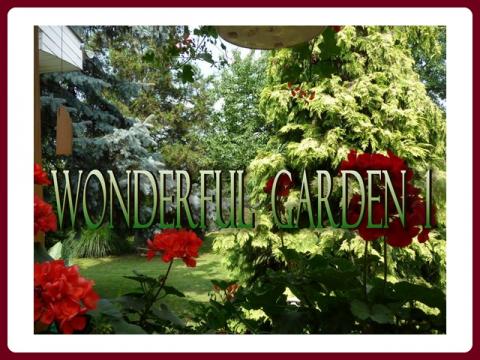 wonderful_garden_-_ildy_1