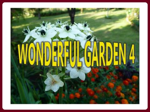 wonderful_garden_-_ildy_4