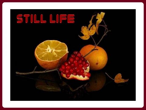 zatisi_-_still_life_-_vili