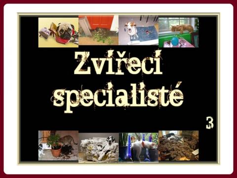 zvireci_specialiste_-_mct_3